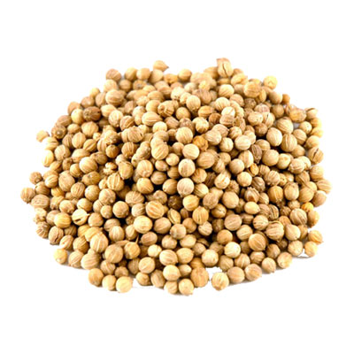 coriander-seeds2